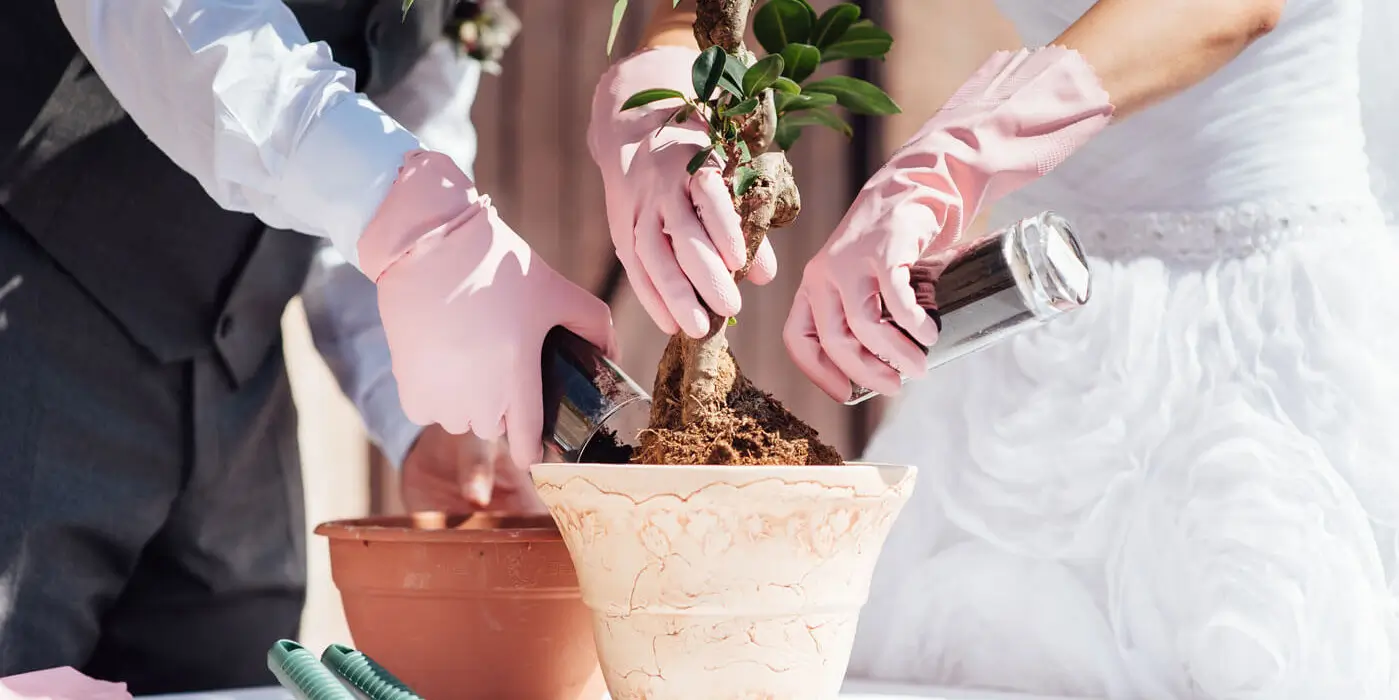 Ein Brautpaar pflanzt einen Baum ein als Ritual während einer freien Trauung